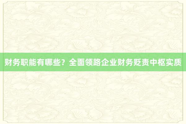 财务职能有哪些？全面领路企业财务贬责中枢实质